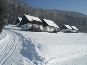 Mansion in Starkov with shared pool, Starkov